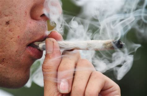 Marijuana use raises risk of heart attack, heart failure and stroke, studies say